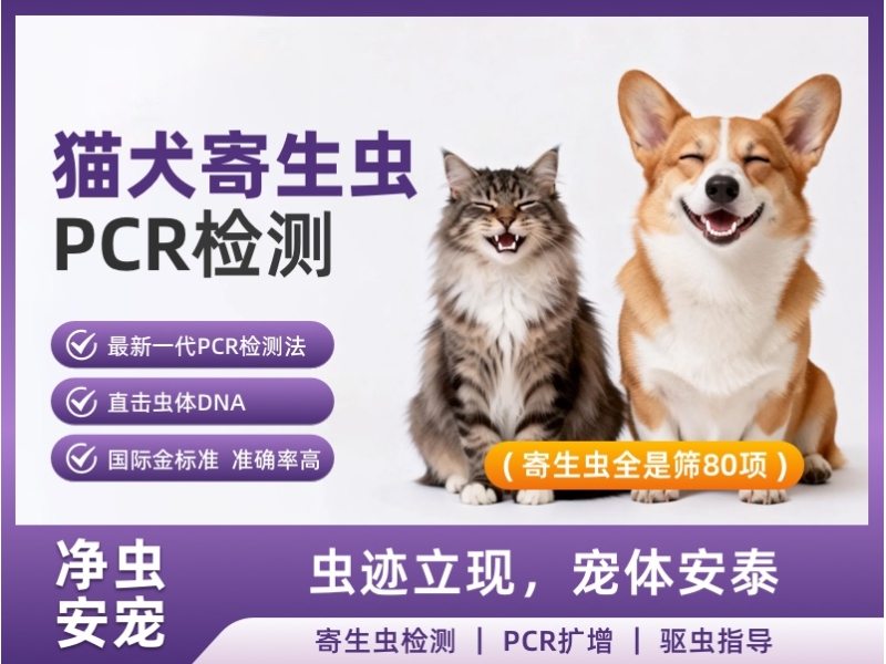 猫犬寄生虫PCR检测（寄生虫全筛80项）