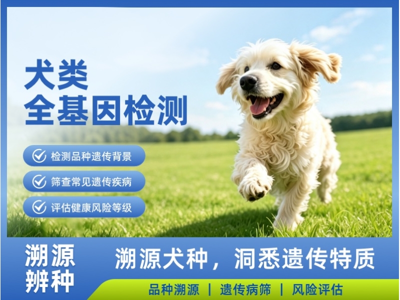 犬类全基因检测