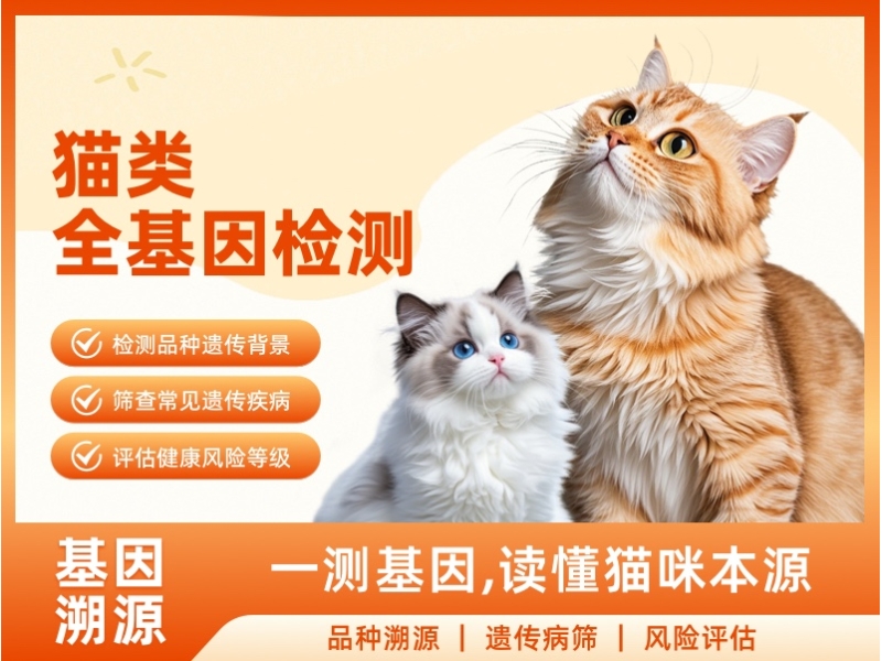 猫类全基因检测